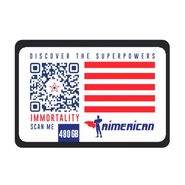 Disco Solido SSD Aimerican 480GB Immortality 3D Nand SATA III (Similar 512GB)