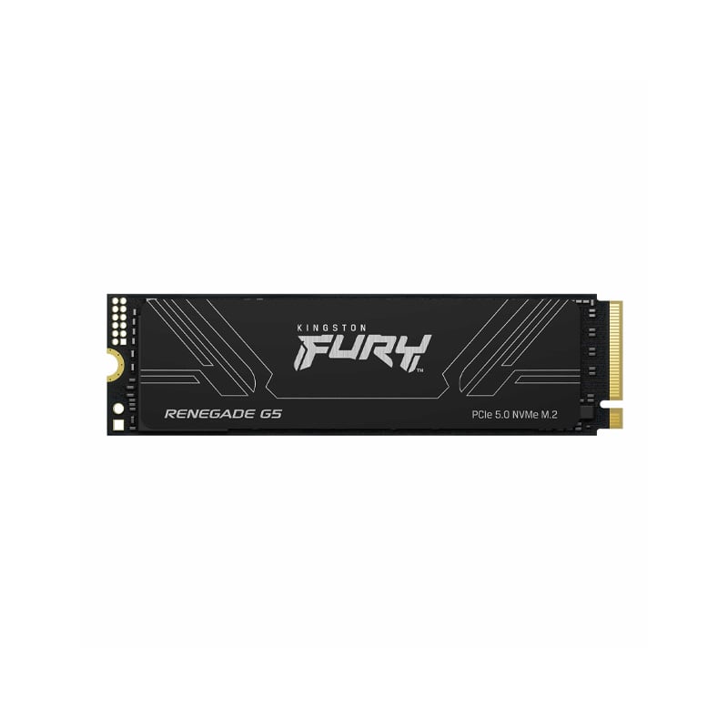 DISCO SOLIDO SSD 1TB KINGSTON FURY RENEGADE G5 M.2 NVME PCIE 5.0 14.200MB/S